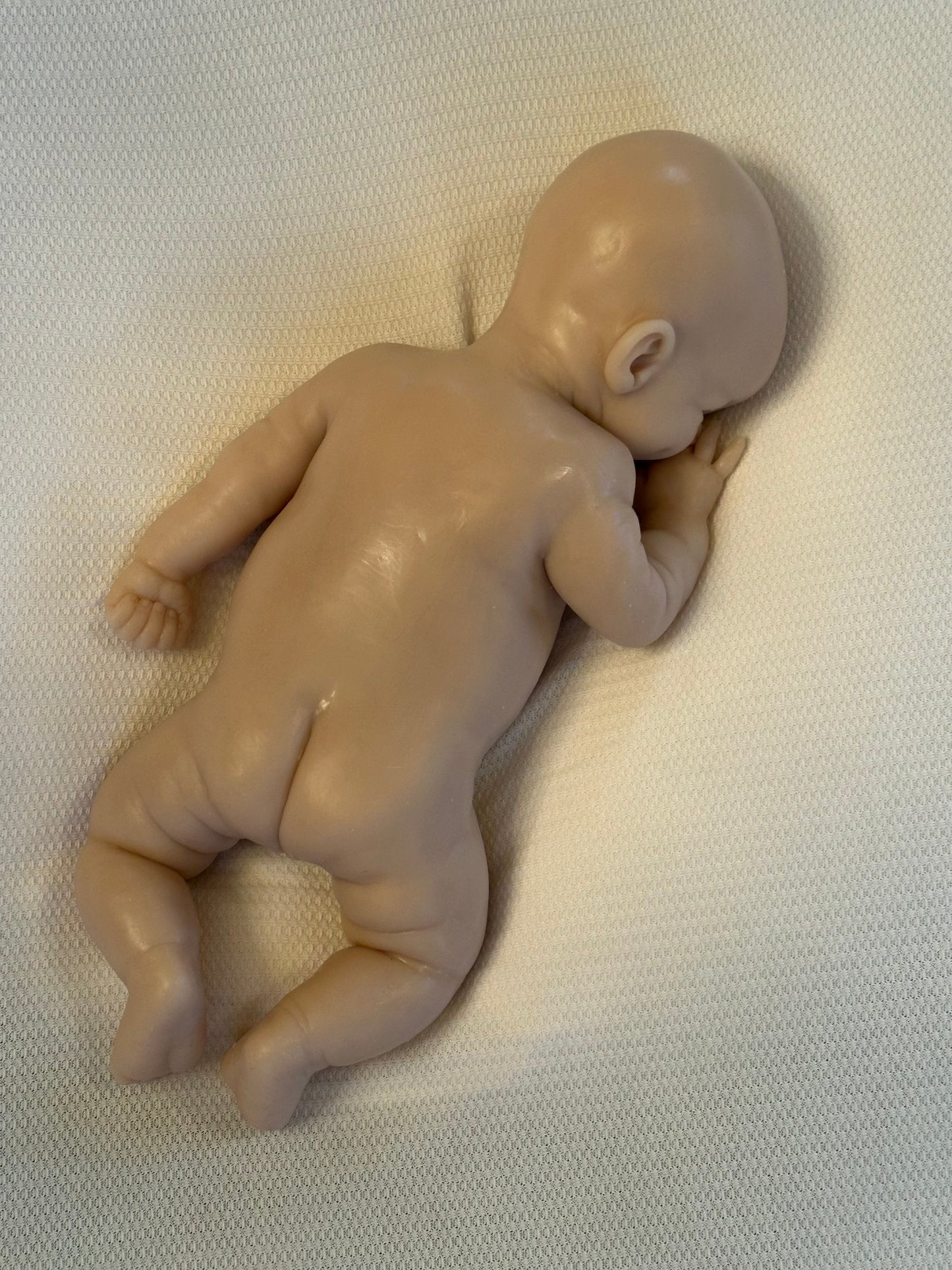 Cindy Lou by Bonnie Sieben