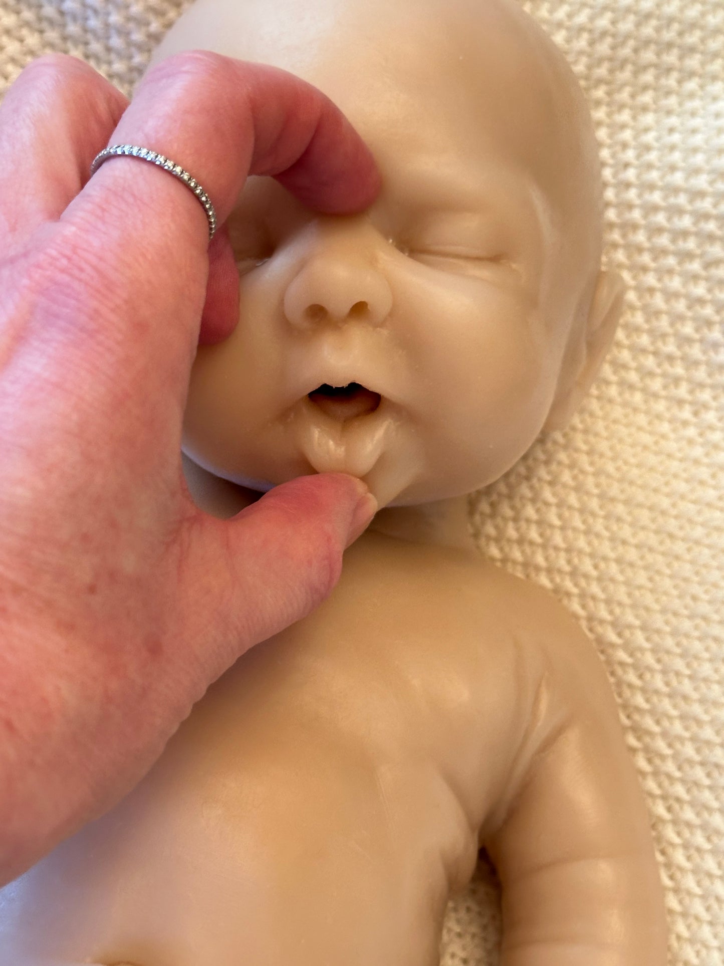 Olive  by Kristin Englert