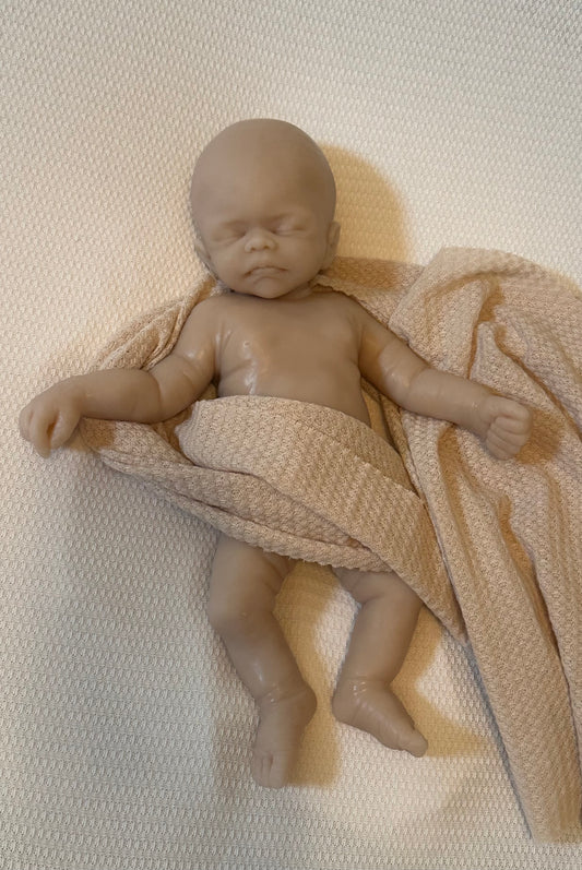 Ava by Kristin Englert